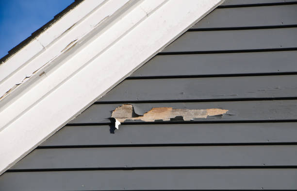 Best Siding Removal and Disposal  in Baraboo, WI